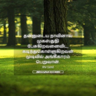 Picture 05 - நீதிமொழிகள் 28:23 TAMIRV - தன்னுடைய நாவினால் - Bible Verse Picture