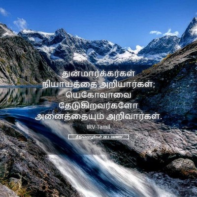 Picture 05 - நீதிமொழிகள் 28:5 TAMIRV - துன்மார்க்கர்கள் - Bible Verse Picture