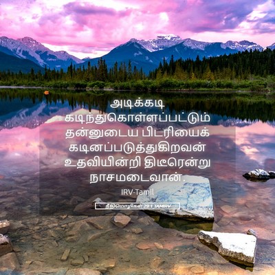 Picture 05 - நீதிமொழிகள் 29:1 TAMIRV - அடிக்கடி - Bible Verse Picture