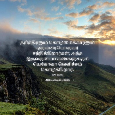 Picture 05 - நீதிமொழிகள் 29:13 TAMIRV - தரித்திரனும் - Bible Verse Picture