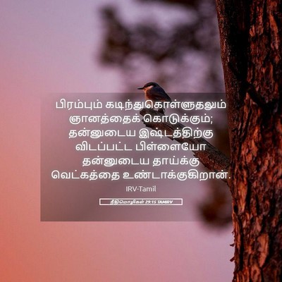 Picture 05 - நீதிமொழிகள் 29:15 TAMIRV - பிரம்பும் - Bible Verse Picture