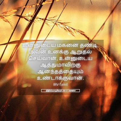 Picture 05 - நீதிமொழிகள் 29:17 TAMIRV - உன்னுடைய மகனை - Bible Verse Picture