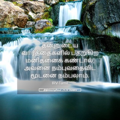 Picture 05 - நீதிமொழிகள் 29:20 TAMIRV - தன்னுடைய - Bible Verse Picture