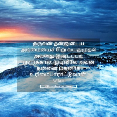 Picture 05 - நீதிமொழிகள் 29:21 TAMIRV - ஒருவன் தன்னுடைய - Bible Verse Picture