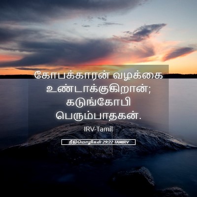 Picture 05 - நீதிமொழிகள் 29:22 TAMIRV - கோபக்காரன் வழக்கை - Bible Verse Picture
