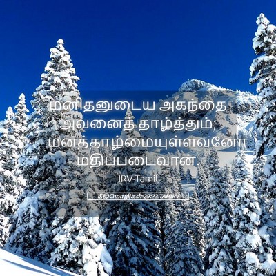 Picture 05 - நீதிமொழிகள் 29:23 TAMIRV - மனிதனுடைய அகந்தை - Bible Verse Picture