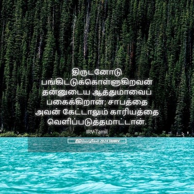 Picture 05 - நீதிமொழிகள் 29:24 TAMIRV - திருடனோடு - Bible Verse Picture