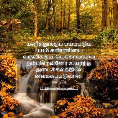 Picture 05 - நீதிமொழிகள் 29:25 TAMIRV - மனிதனுக்குப் - Bible Verse Picture
