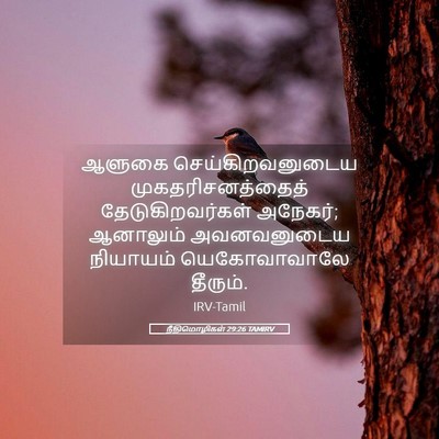 Picture 05 - நீதிமொழிகள் 29:26 TAMIRV - ஆளுகை - Bible Verse Picture