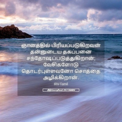 Picture 05 - நீதிமொழிகள் 29:3 TAMIRV - ஞானத்தில் - Bible Verse Picture