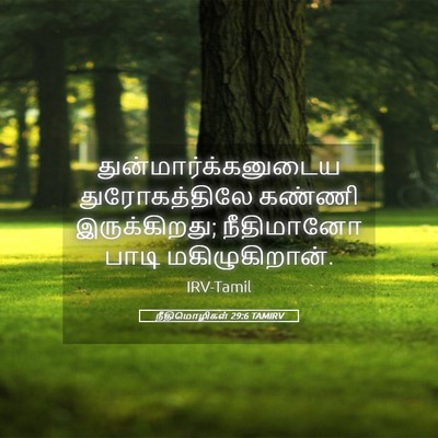 Picture 05 - நீதிமொழிகள் 29:6 TAMIRV - துன்மார்க்கனுடைய - Bible Verse Picture