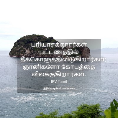 Picture 05 - நீதிமொழிகள் 29:8 TAMIRV - பரியாசக்காரர்கள் - Bible Verse Picture