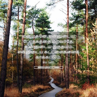 Picture 05 - நீதிமொழிகள் 3:1 TAMIRV - என் மகனே, என்னுடைய - Bible Verse Picture