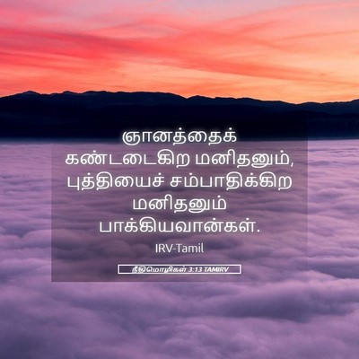 Picture 05 - நீதிமொழிகள் 3:13 TAMIRV - ஞானத்தைக் - Bible Verse Picture