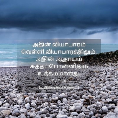 Picture 05 - நீதிமொழிகள் 3:14 TAMIRV - அதின் வியாபாரம் - Bible Verse Picture