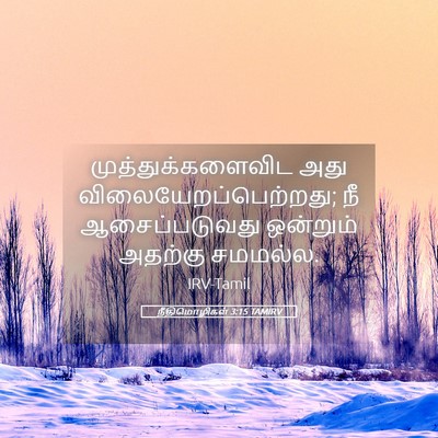 Picture 05 - நீதிமொழிகள் 3:15 TAMIRV - முத்துக்களைவிட - Bible Verse Picture