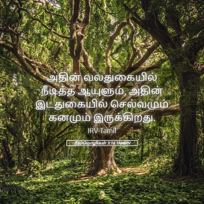 Picture 05 - நீதிமொழிகள் 3:16 TAMIRV - அதின் வலதுகையில் - Bible Verse Picture