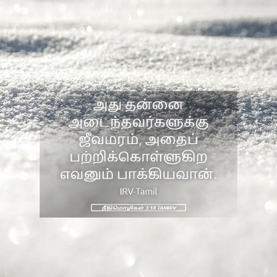 Picture 05 - நீதிமொழிகள் 3:18 TAMIRV - அது தன்னை - Bible Verse Picture