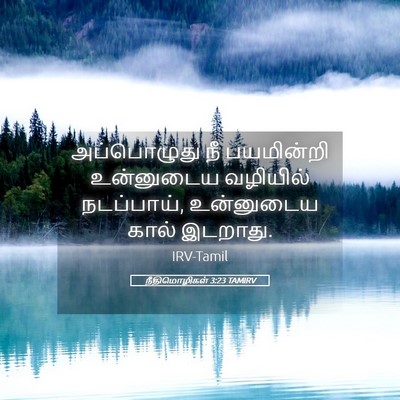 Picture 05 - நீதிமொழிகள் 3:23 TAMIRV - அப்பொழுது நீ - Bible Verse Picture