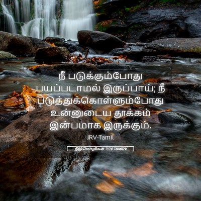 Picture 05 - நீதிமொழிகள் 3:24 TAMIRV - நீ படுக்கும்போது - Bible Verse Picture