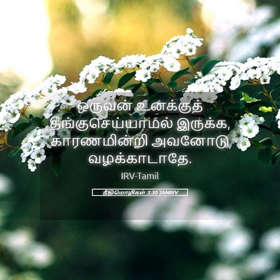 Picture 05 - நீதிமொழிகள் 3:30 TAMIRV - ஒருவன் உனக்குத் - Bible Verse Picture