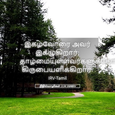 Picture 05 - நீதிமொழிகள் 3:34 TAMIRV - இகழ்வோரை அவர் - Bible Verse Picture
