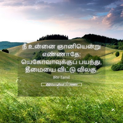Picture 05 - நீதிமொழிகள் 3:7 TAMIRV - நீ உன்னை - Bible Verse Picture