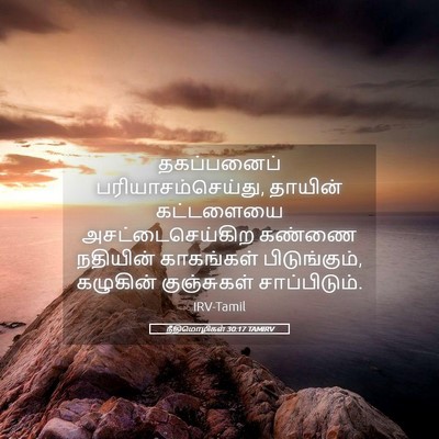 Picture 05 - நீதிமொழிகள் 30:17 TAMIRV - தகப்பனைப் - Bible Verse Picture