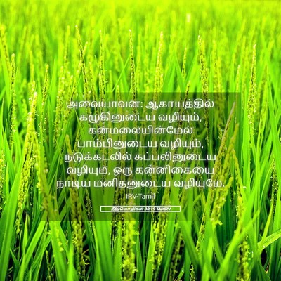 Picture 05 - நீதிமொழிகள் 30:19 TAMIRV - அவையாவன: - Bible Verse Picture