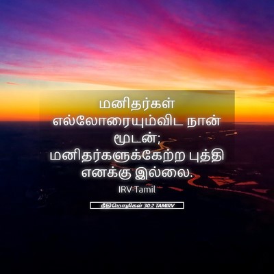 Picture 05 - நீதிமொழிகள் 30:2 TAMIRV - மனிதர்கள் - Bible Verse Picture