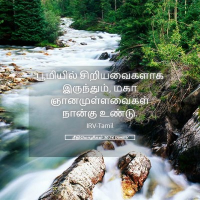 Picture 05 - நீதிமொழிகள் 30:24 TAMIRV - பூமியில் - Bible Verse Picture