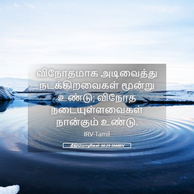 Picture 05 - நீதிமொழிகள் 30:29 TAMIRV - விநோதமாக - Bible Verse Picture
