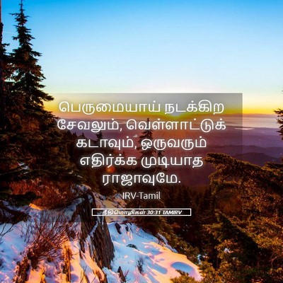 Picture 05 - நீதிமொழிகள் 30:31 TAMIRV - பெருமையாய் - Bible Verse Picture