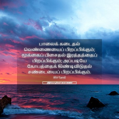 Picture 05 - நீதிமொழிகள் 30:33 TAMIRV - பாலைக் கடைதல் - Bible Verse Picture