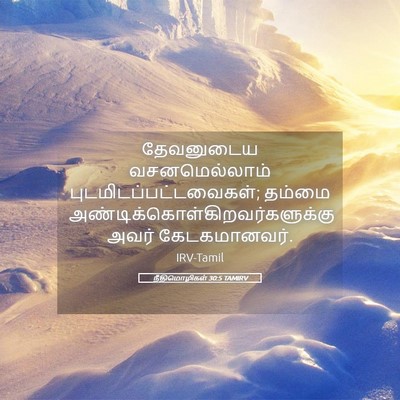 Picture 05 - நீதிமொழிகள் 30:5 TAMIRV - தேவனுடைய - Bible Verse Picture