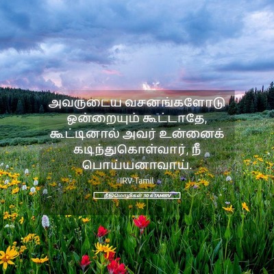 Picture 05 - நீதிமொழிகள் 30:6 TAMIRV - அவருடைய - Bible Verse Picture