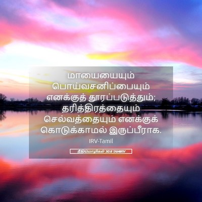 Picture 05 - நீதிமொழிகள் 30:8 TAMIRV - மாயையையும் - Bible Verse Picture