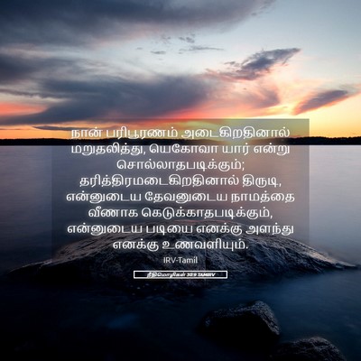 Picture 05 - நீதிமொழிகள் 30:9 TAMIRV - நான் பரிபூரணம் - Bible Verse Picture