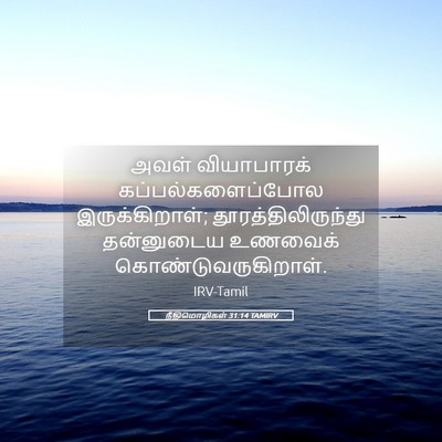 Picture 05 - நீதிமொழிகள் 31:14 TAMIRV - அவள் வியாபாரக் - Bible Verse Picture