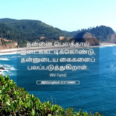 Picture 05 - நீதிமொழிகள் 31:17 TAMIRV - தன்னை பெலத்தால் - Bible Verse Picture