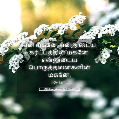 Picture 05 - நீதிமொழிகள் 31:2 TAMIRV - என் மகனே, என்னுடைய - Bible Verse Picture