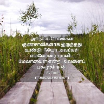 Picture 05 - நீதிமொழிகள் 31:29 TAMIRV - அநேகம் பெண்கள் - Bible Verse Picture