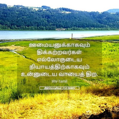 Picture 05 - நீதிமொழிகள் 31:8 TAMIRV - ஊமையனுக்காகவும் - Bible Verse Picture