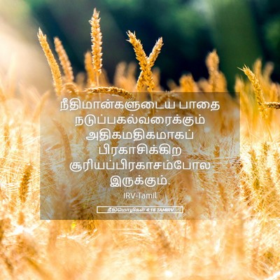 Picture 05 - நீதிமொழிகள் 4:18 TAMIRV - நீதிமான்களுடைய - Bible Verse Picture