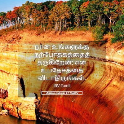 Picture 05 - நீதிமொழிகள் 4:2 TAMIRV - நான் உங்களுக்கு - Bible Verse Picture
