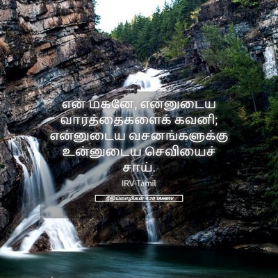 Picture 05 - நீதிமொழிகள் 4:20 TAMIRV - என் மகனே, என்னுடைய - Bible Verse Picture