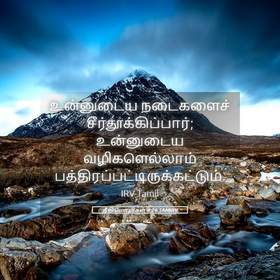 Picture 05 - நீதிமொழிகள் 4:26 TAMIRV - உன்னுடைய நடைகளைச் - Bible Verse Picture