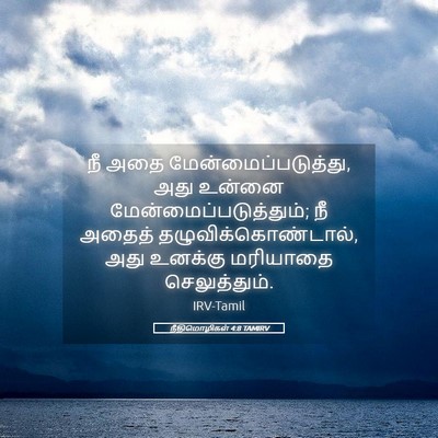 Picture 05 - நீதிமொழிகள் 4:8 TAMIRV - நீ அதை - Bible Verse Picture