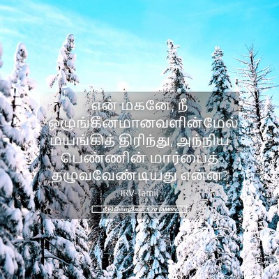 Picture 05 - நீதிமொழிகள் 5:20 TAMIRV - என் மகனே, நீ - Bible Verse Picture