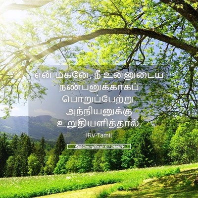 Picture 05 - நீதிமொழிகள் 6:1 TAMIRV - என் மகனே, நீ - Bible Verse Picture